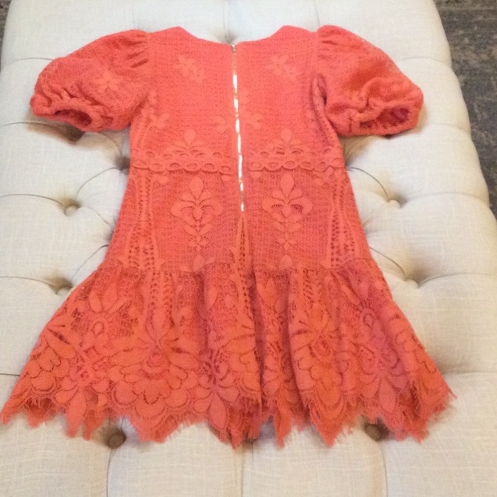 Lace Dress - Picture 2 of 3
